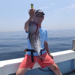 Hit Rush(ヒット ラッシュ) 釣果