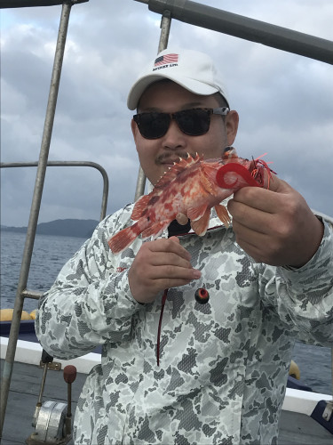 釣船 浦島太郎 釣果