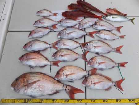 Hit Rush(ヒット ラッシュ） 釣果…