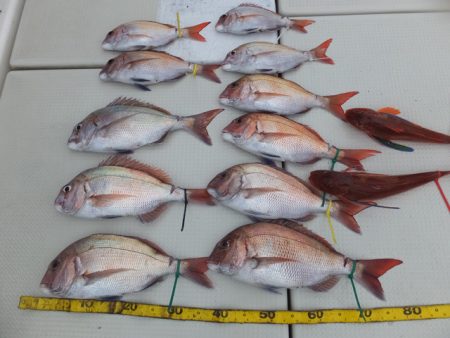 Hit Rush(ヒット ラッシュ） 釣果…