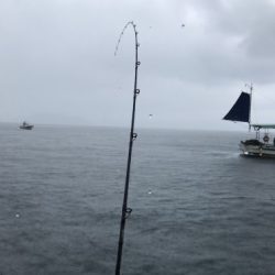 釣船 浦島太郎 釣果