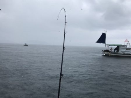 釣船 浦島太郎 釣果