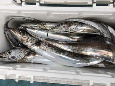 釣船 浦島太郎 釣果