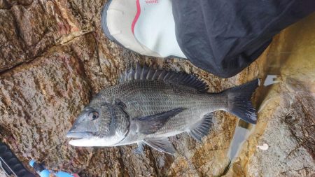 釣り時々雨宿り