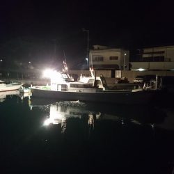 小浦一文字でブリ