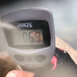 春イカエギング、泉南はまだまだ春イカいけそうです。