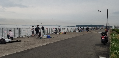 タチウオ 浮き釣り