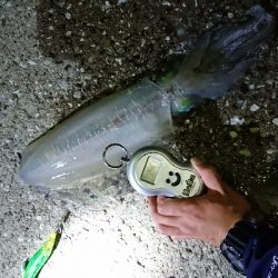 自己ベスト更新！