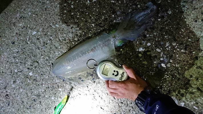 自己ベスト更新！