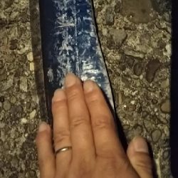 タチウオ ナイトワインド