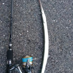 朝マズメショアジギング