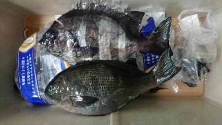 釣り時々雨宿り