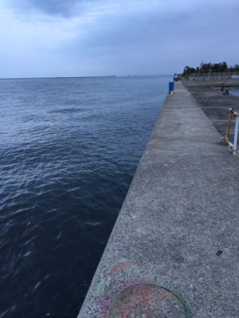 久しぶりにかもめ大橋　チヌ活性よし