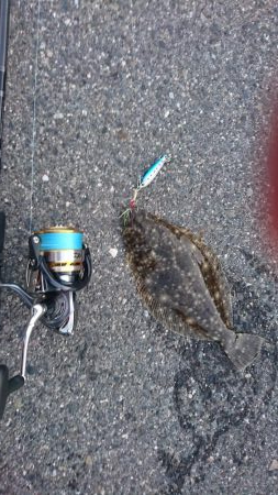 朝マズメショアジギング