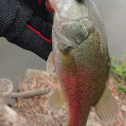 五三川 スピニングパワーフィネス