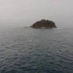 釣り時々雨宿り