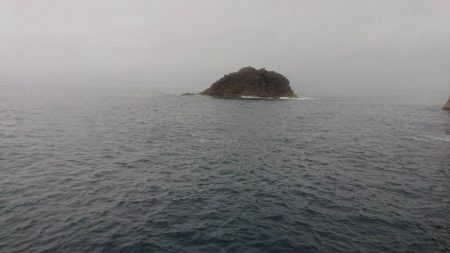 釣り時々雨宿り