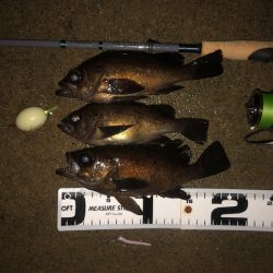 二見メバリング23