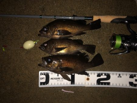 二見メバリング23