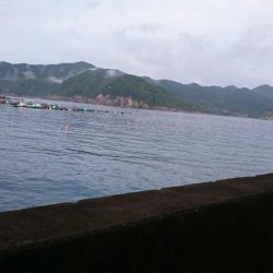 シャローDEランガン