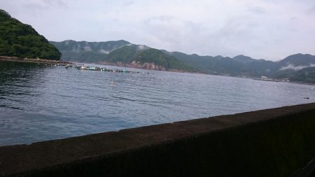 シャローDEランガン