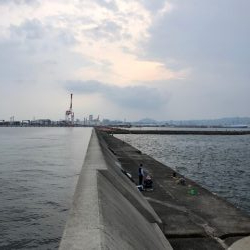 神戸ミッドワインド