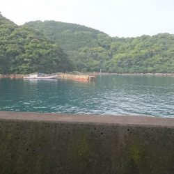 シャローDEランガン