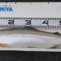 フィッシングレイクたかみや 釣果