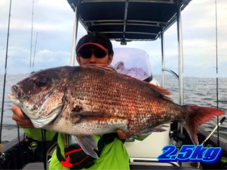 オーシャンマスター 釣果
