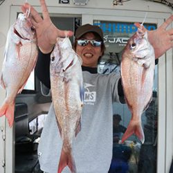 松本釣船２ 釣果