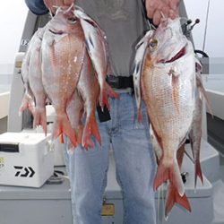 松本釣船２ 釣果