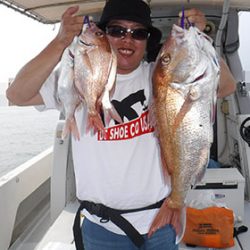 松本釣船２ 釣果