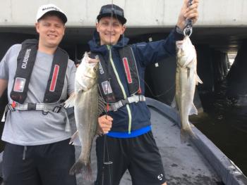 シーマジカル 釣果