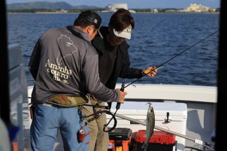 クルーズ 釣果
