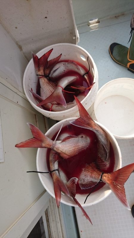 遊漁船ブルーウッズ 釣果