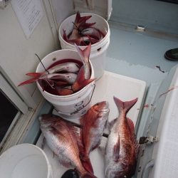 遊漁船ブルーウッズ 釣果