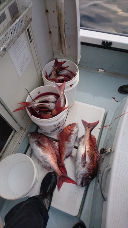 遊漁船ブルーウッズ 釣果