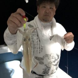 金太郎 釣果