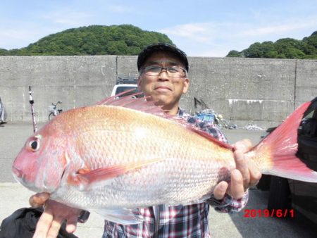大進丸(新潟) 釣果