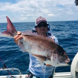 シーモンキー 釣果