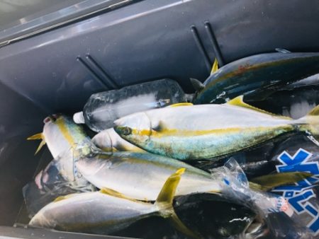 シーモンキー 釣果