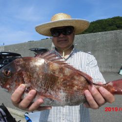 大進丸(新潟) 釣果