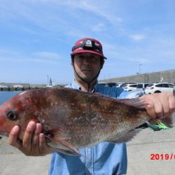 大進丸(新潟) 釣果