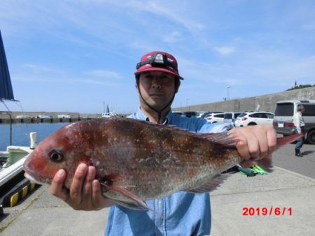 大進丸(新潟) 釣果