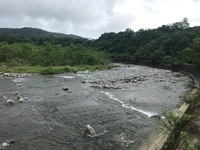 秩父フライフィールド 釣果