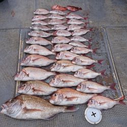 FISHING RISKY 釣果