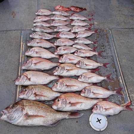 FISHING RISKY 釣果