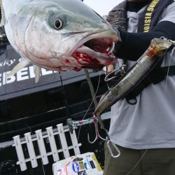 FISHING RISKY 釣果