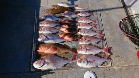 FISHING RISKY 釣果