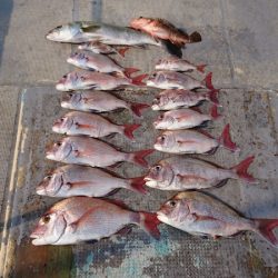 FISHING RISKY 釣果